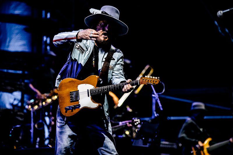 picture ZUCCHERO