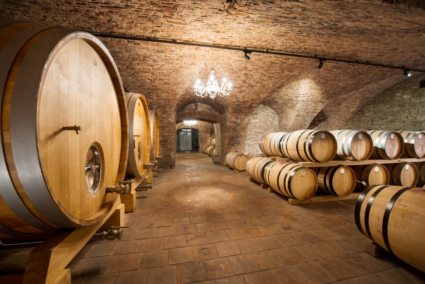 picture Degustácia vín na zámku s prehliadkou vinárstva