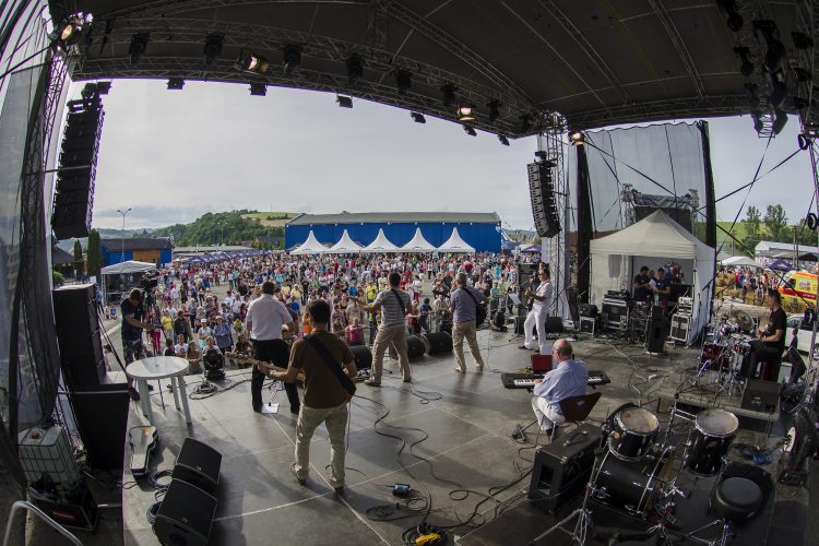 picture Nestville Open Fest