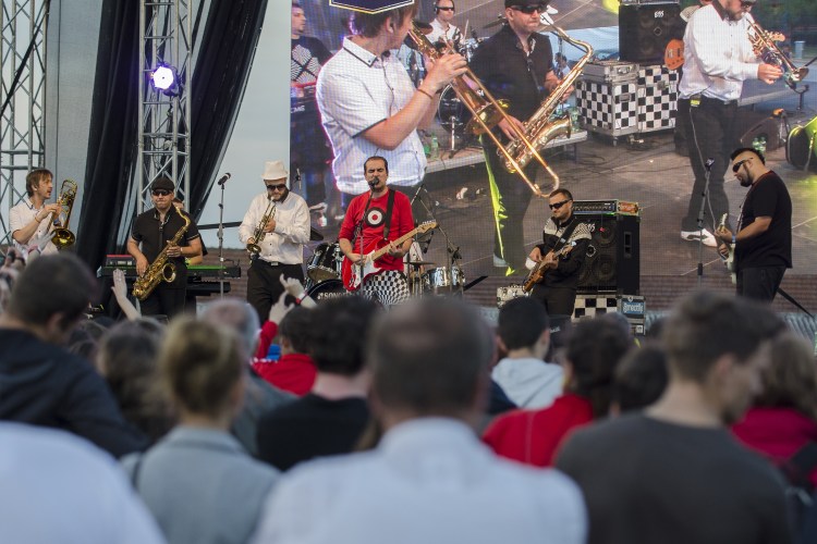 picture Nestville Open Fest