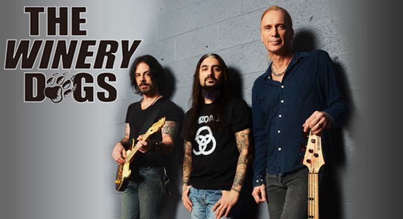 picture THE WINERY DOGS