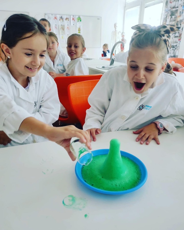 picture SCIENCE WORKSHOP