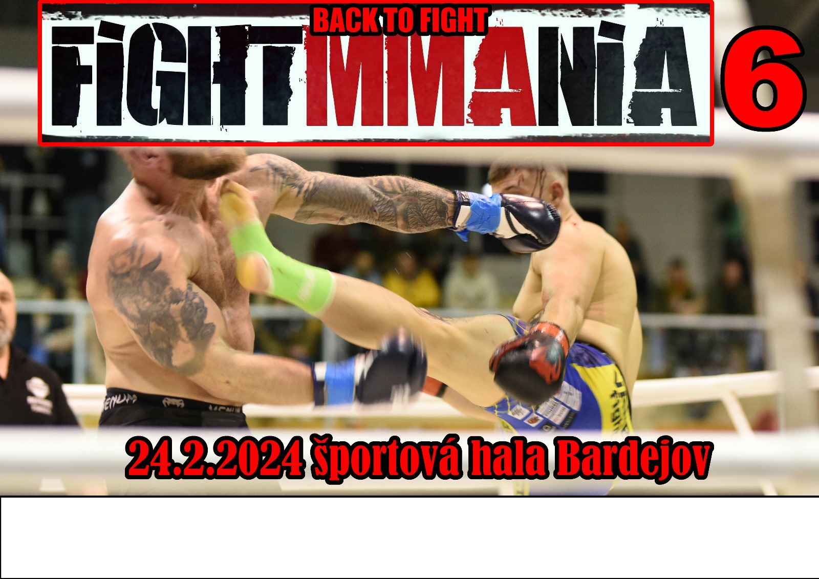 picture FIGHTMMANIA 6