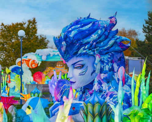 picture Wonderland Bratislava