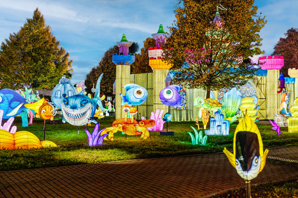 picture Wonderland Bratislava