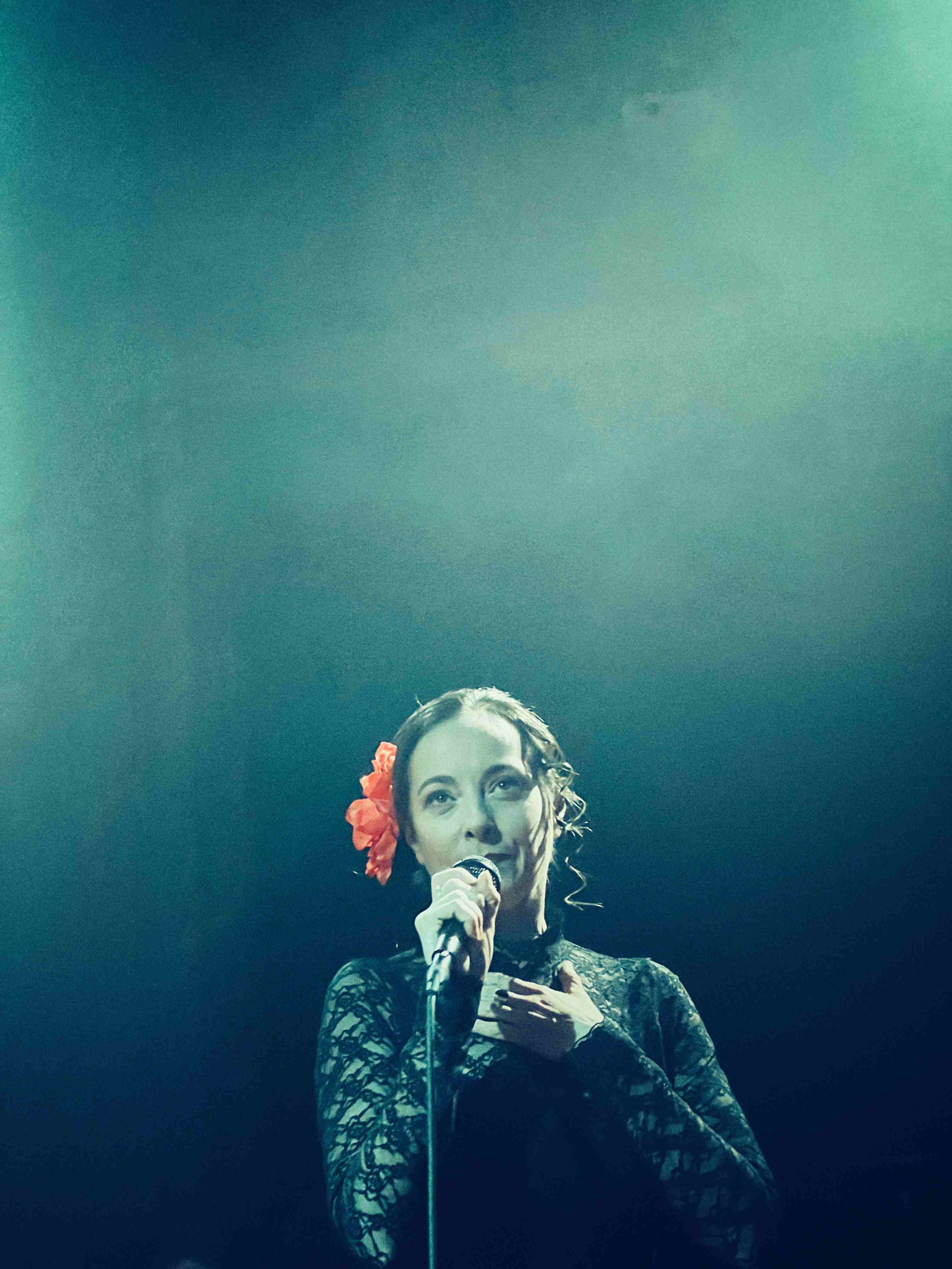 picture Mária Podhradská - Vianočný čas
