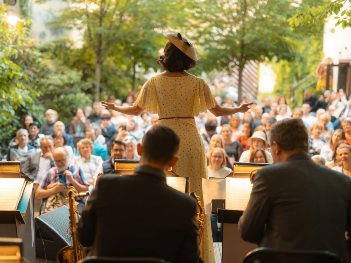 picture VEČER PRI DUNAJI v rytme hot jazzu a swingu