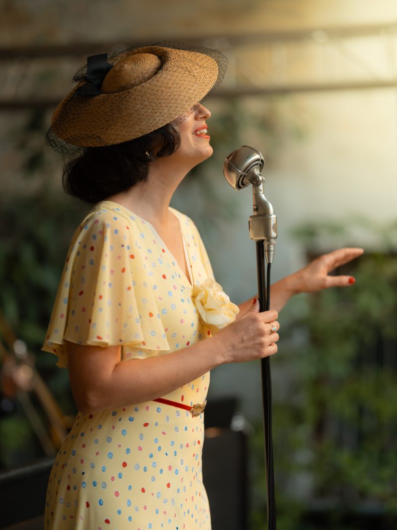 picture VEČER PRI DUNAJI v rytme hot jazzu a swingu