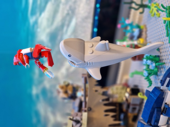 picture VÝSTAVA KOCKY, ZBIERKY LEGO®