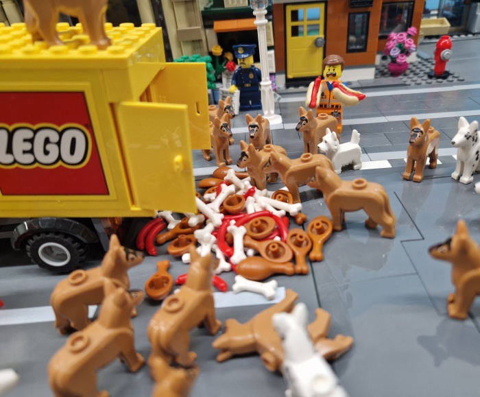 picture VÝSTAVA KOCKY, ZBIERKY LEGO®
